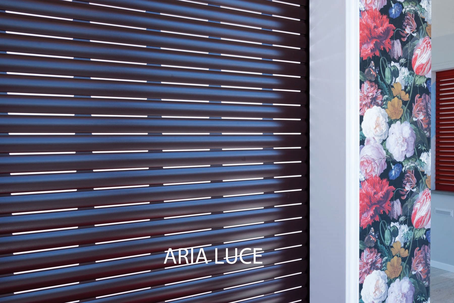 AriaLuce 2